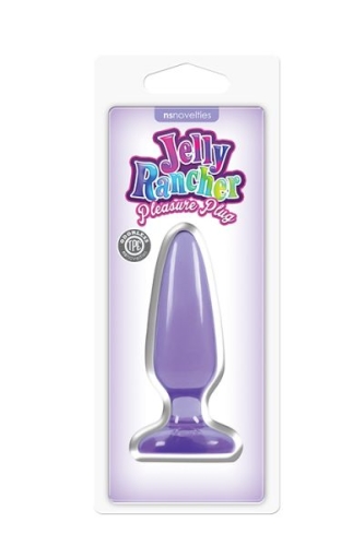 Анальна пробка фіолетова JELLY RANCHER PLEASURE PLUG SMALL - 2
