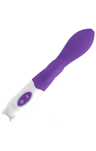 Вибратор с отростком для клитора фиолетового цвета Ningbo aiLe Glamorous Buddy - 1