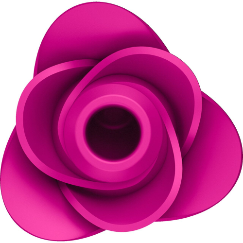 Вакуумний кліторальний стимулятор рожевий Satisfyer Pro 2 Modern Blossom - 4