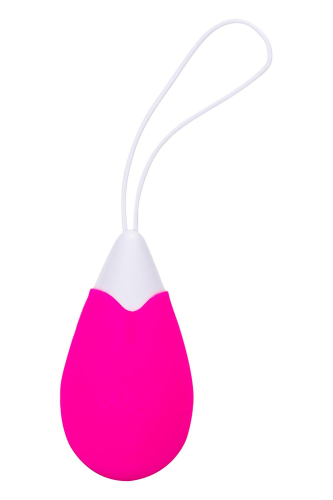 Виброяйцо на пульте ДУ розовое Dream Toys ALL TIME FAVORITES 10F REMOTE EGG - 4