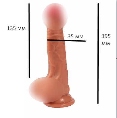Фаллоимитатор 13,5 см/3,5 см суперреалистик с яичками на присоске Diego Realistic dildo из Винила - 1