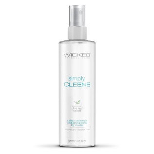 Очищувач для іграшок Wicked Sensual Care 120 мл