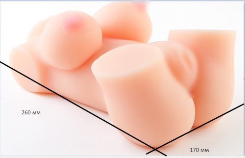 Реалистичное тело-торс Anica Solid Silicone Sexy Doll S - 1