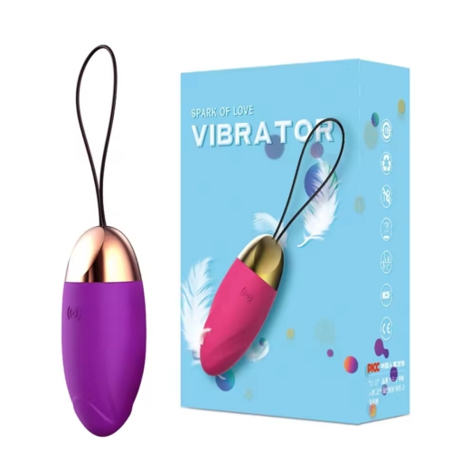 Віброяйце вагінальне колір фіолетовий Cottelli Collection USB EGG - 1