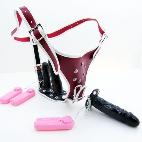 Тройной страпон анально-вагинальный Bdsm4u с вибрацией красный - 1