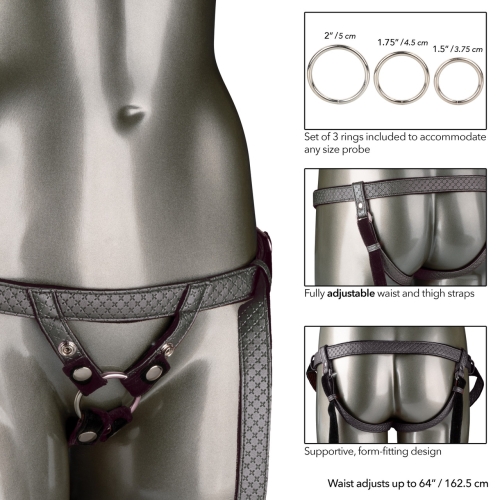 Трусики для страпона сірого кольору California еxotic novelties he Regal Duchess Silver - 5
