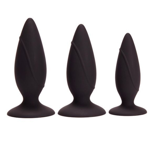 Набір анальних пробок Pornhub Anal Training Kit - 1