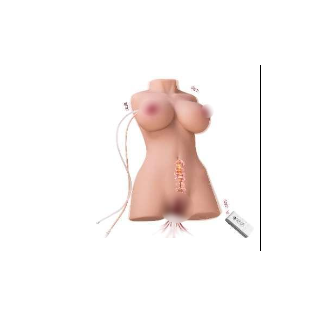 Мастурбатор торс з вакуумною стимуляцією та вібрацією Una sucking